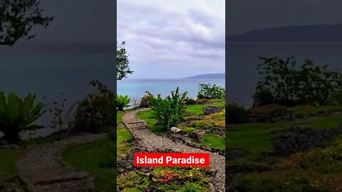 The Island Paradise