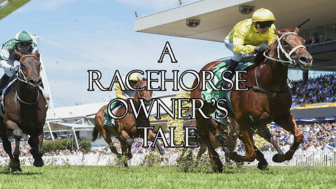 A Racehorse Owner’s Tale – Success comes at last!
