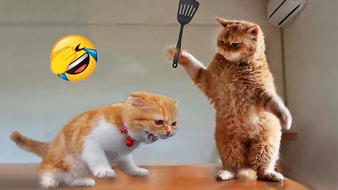 Funniest Animals 2023 😂 Funny Cats and Dogs Videos 😺🐶 Part 1