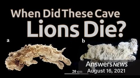 When Did These Cave Lions Die? - Answers News: August 16, 2021