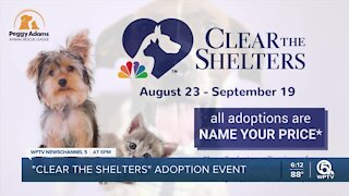Peggy Adams Animal Rescue League participates in 'Clear the Shelters' campaign