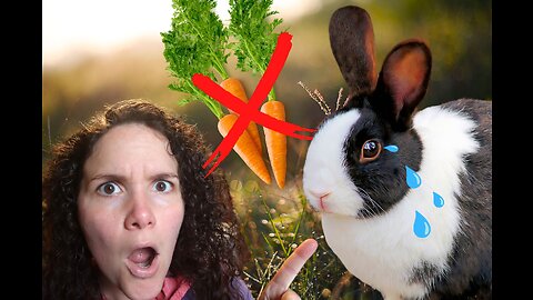 What TO feed & what NOT to feed your rabbits║ How to Raise MEAT RABBITS (Part 3/8)
