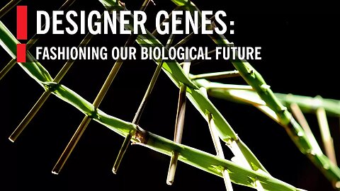 Designer Genes: Fashioning our Biological Future