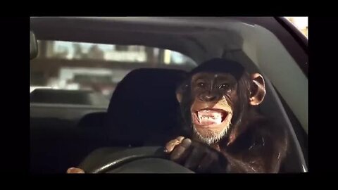 THE COMPLETE "TRUNK MONKEY" AUTO COMMERCIAL COMPLIATION🙈🙉🙊🤣🤣🤣