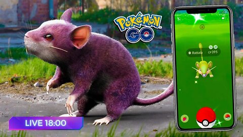 🚶 Em Busca do RATTATA Brilhante (Shiny)! A Saga do RATO ROSA continua no Pokémon GO!