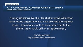 City of Buffalo animal shelter at full capacity