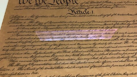 Judge Scotti & The Constitution