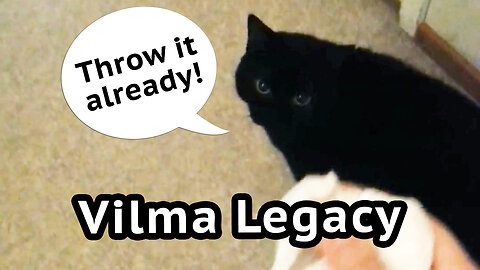 Vilma Cat Legacy: Paper Ball