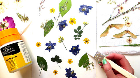 How to Make Pressed Flower Art || Pressing Flowers in a Book