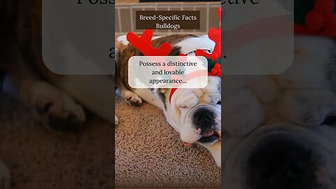 Surprising Facts about Bulldogs