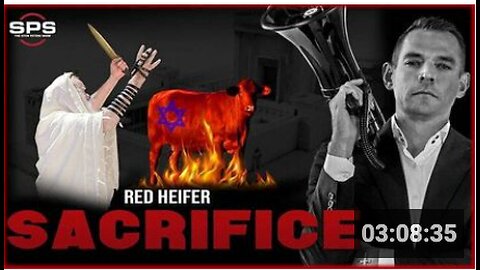 Stew Peters Debates Israel's Red Heifer Breeder and a JEW