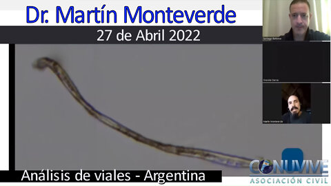 Dr. Martín Monteverde (Argentina) - Análisis de viales (27-04-2022)