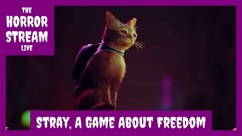 Stray, A Game About Freedom, Deep Thoughts While Gaming [Odysee]