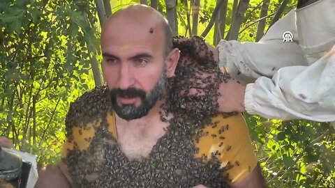 "Bee Man's" dream for the Guinness Book of World Records almost fulfilled