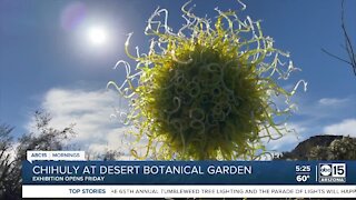 Sneak peek: Chihuly exhibition opens Friday at Desert Botanical Garden
