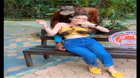 monkey funny with girl