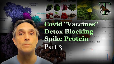 Covid "Vaccines" Deto: Blocking Spike Protein