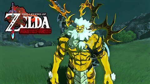 Master Mode - Tears of the Kingdom - Gold Lynel - One on One Gamplay