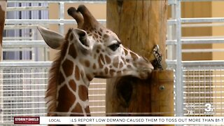 Omaha zoo member appreciation day