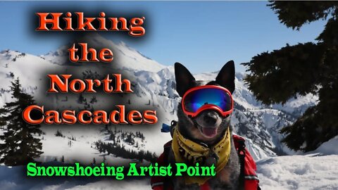 Hiking the North Cascades | Snowshoeing Artist Point Mt. Baker
