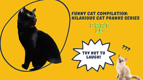 Funny Cat Compilation: Hilarious Cat Pranks Series - Part 10