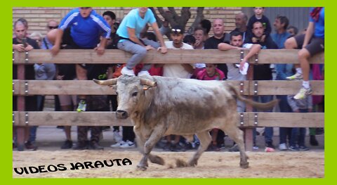 FRÈSCANO ( ZARAGOZA ) TARDE VACAS PLAZA ( DOMINGO 16 OCTUBRE 2022 ) EL RUISEÑOR