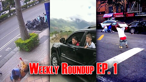 Little People Smack Down | #Hillarious | Weekly Roundup EP1