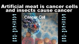 Artificial meat is cancer cells and insects cause cancer