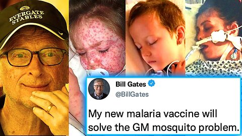 Bill Gates Admits His GM Mosquitoes Are Causing Deadly Malaria Outbreak in U.S.!