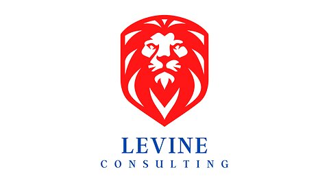 Introducing Levine Consulting