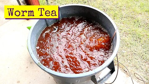 Vermicomposting | Worm Tea For Beginners