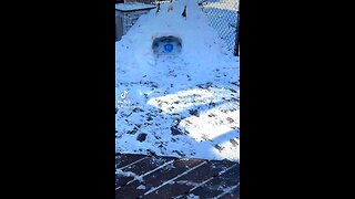 Ice box Igloo