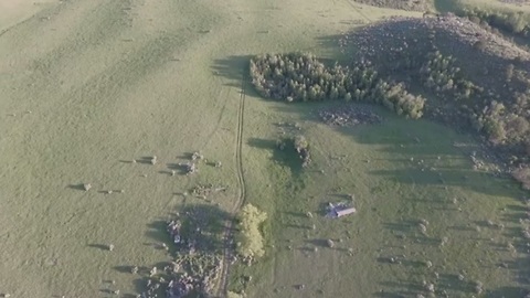 Drone Captures A Weird Wild Animal Running Through Forest