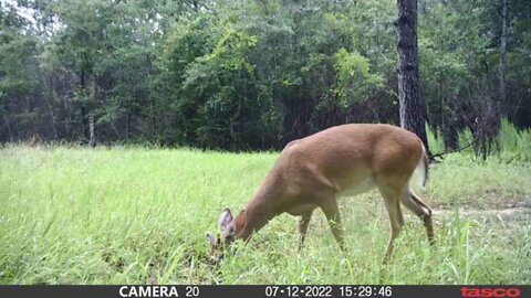 Beards and Bucks in Bama Territory! This year is looking good!