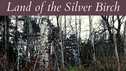 "Land of the Silver Birch" (Instrumental, Piano) -Traditional Canadian Folk Song - Landscapes