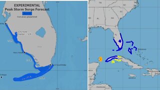 DFW area weather/Update on Tropical cyclone one