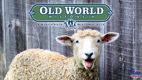 Old World Wisconsin Sheep Goes Viral!!!