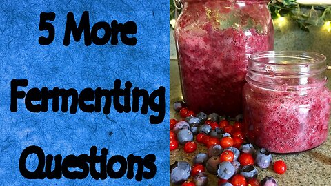 5 More Fermenting Questions