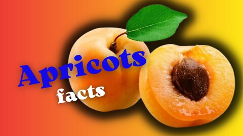 IMPORTANT facts about apricots.