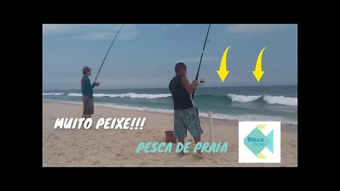 PESCARIA NA PRAIA DA RESERVA COM MUITO PEIXE (pampo, galhudo, riscadinho e xerelete) - Bello Peixe