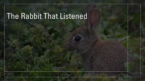 The Rabbit Stopped and Listened