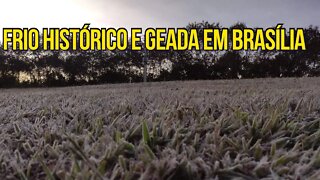 Frio histórico e geada em Brasília