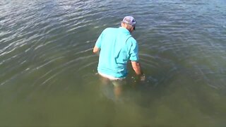 WPTV takes tour of St. Lucie Estuary during National Estuaries Week