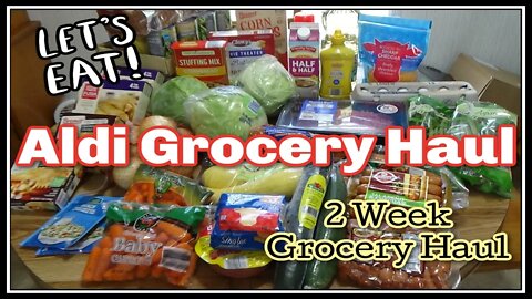 Aldi Grocery Haul I Two Week Grocery Haul