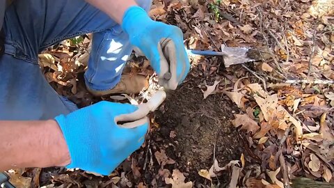 Metal detecting heart token spanish american war