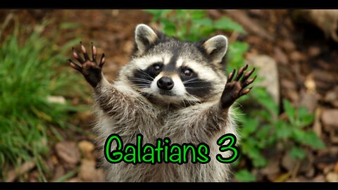 Read the Bible with me. Galatians 3