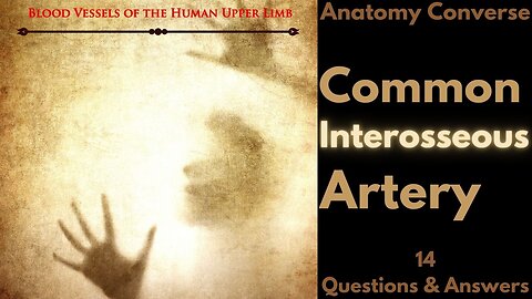 Common Interosseous Artery Anatomy Flashcards| 14 Questions and Answers #medicalstudents #flashcards