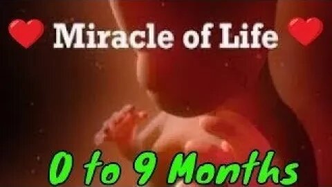 Fetal development: week by week (0 to 9 months)