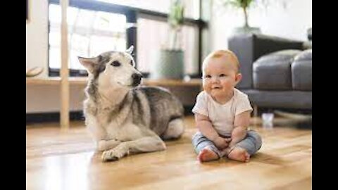 Cute Babies Play With Their Dog Bestfriends