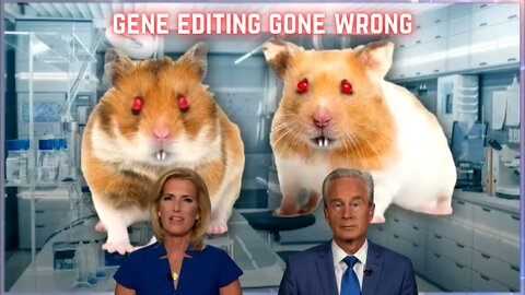 Teenage Mutant Ninja Hamsters? Gene Editing Experiment Gone Wrong Creates Angry Rodents